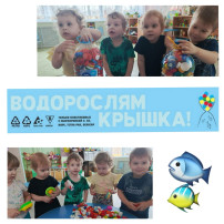 Экологическая акция "Водорослям крышка" Экологическая акция "Водорослям крышка".